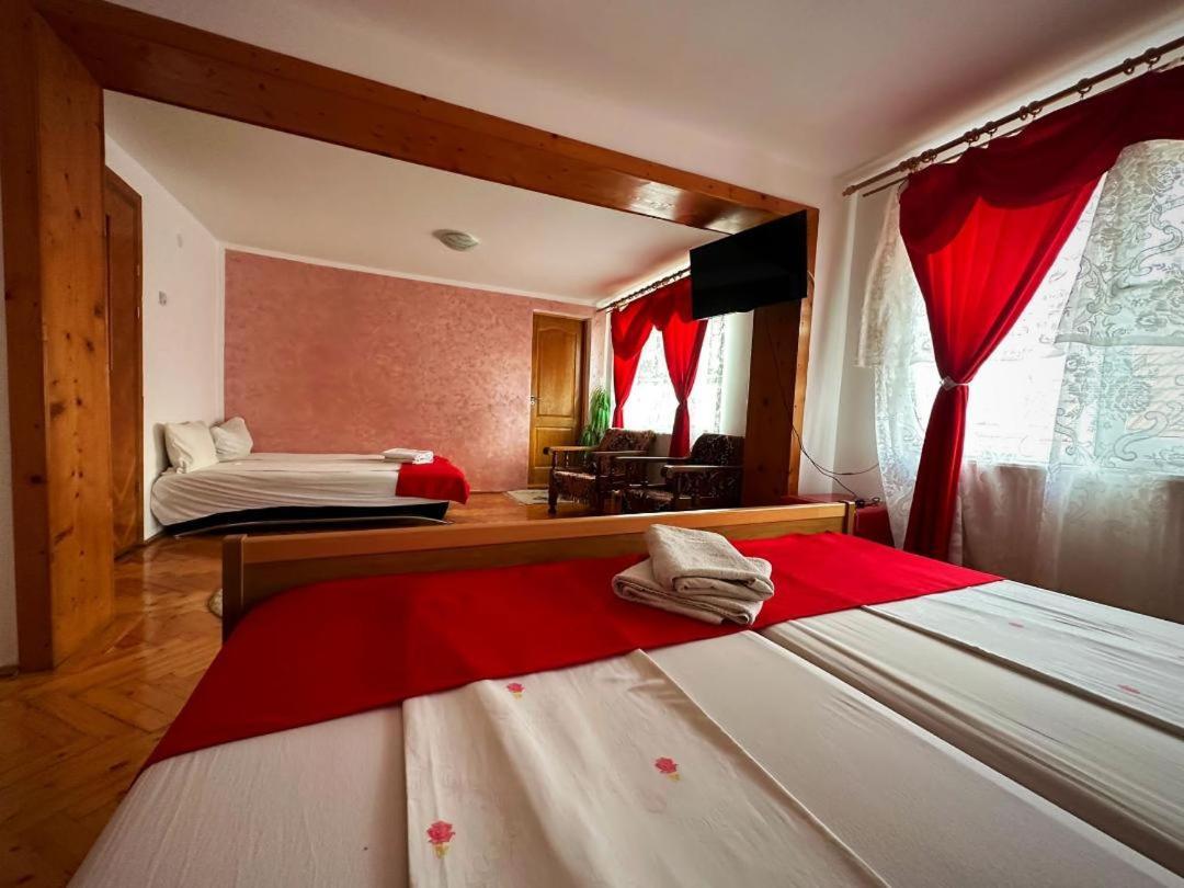 Casa Mary Hotel Haţeg Buitenkant foto