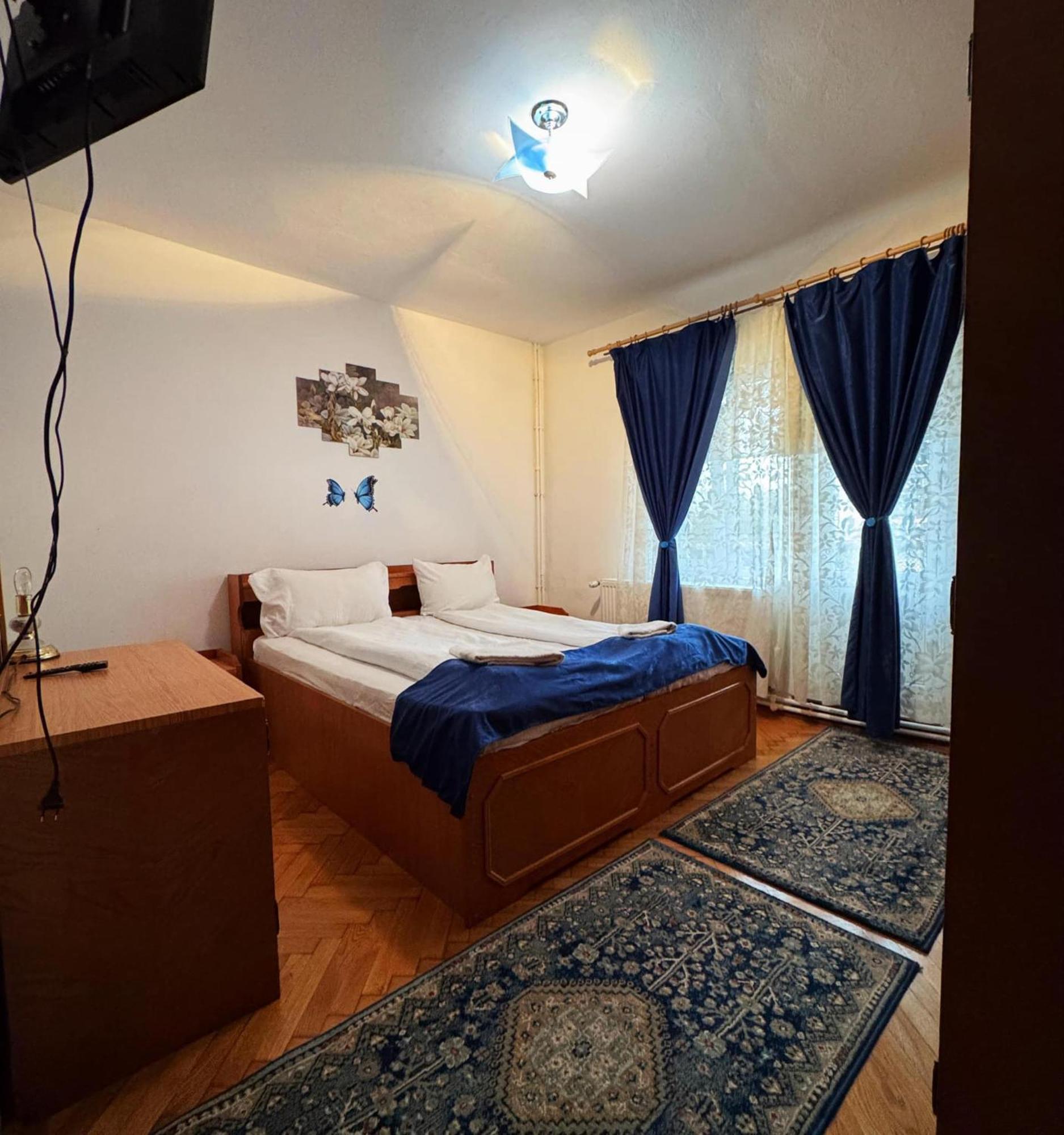 Casa Mary Hotel Haţeg Buitenkant foto