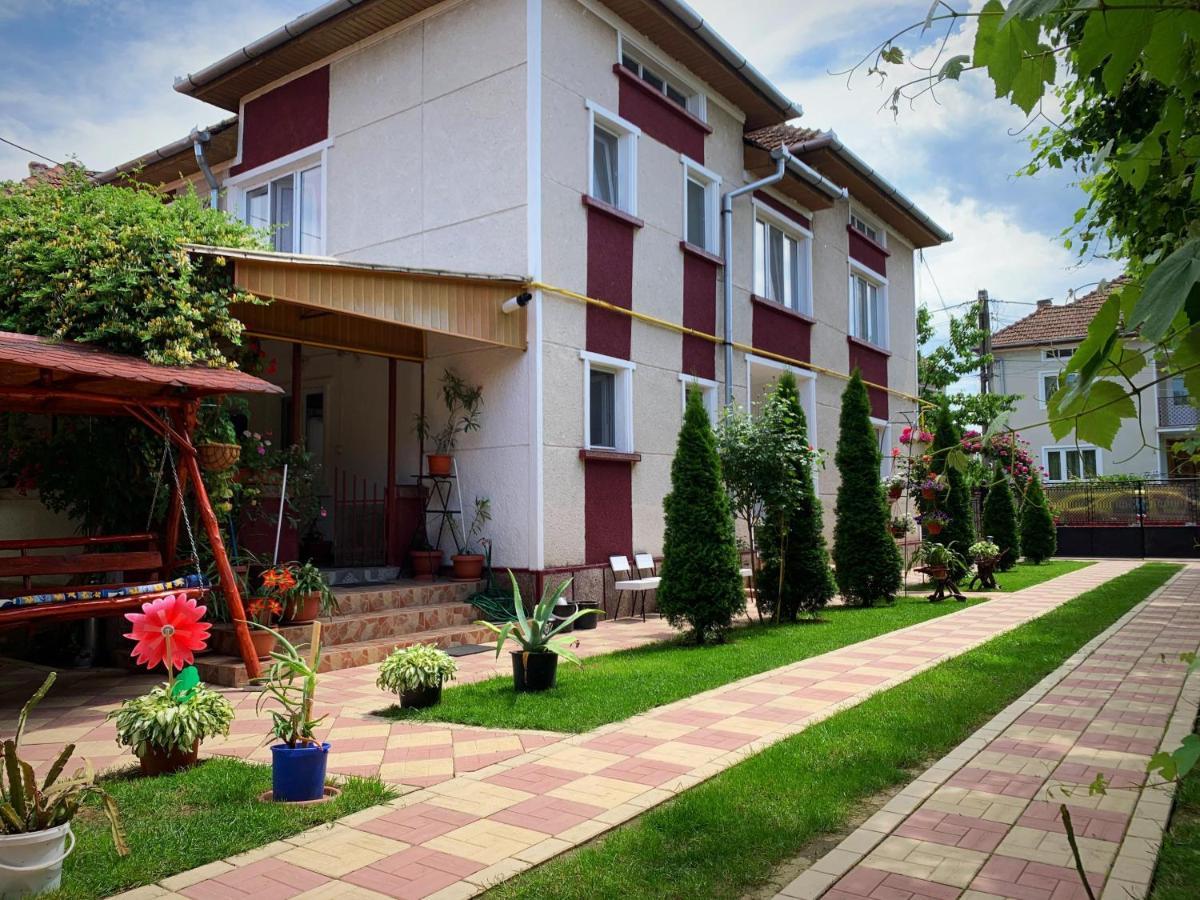 Casa Mary Hotel Haţeg Buitenkant foto